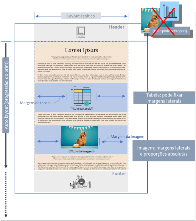 Imagem auto layout 1